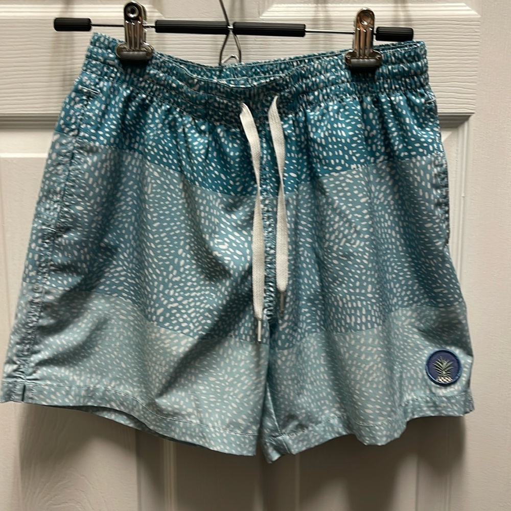 Chubbies Blue Patterned Swim Trunks - image 1